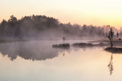 Sunrise with mist over a lake at the wetlands