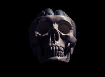 Close-up of human skull against black background