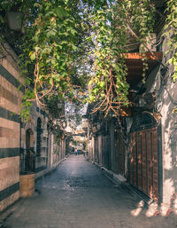 Narrow alley amidst buildings in city