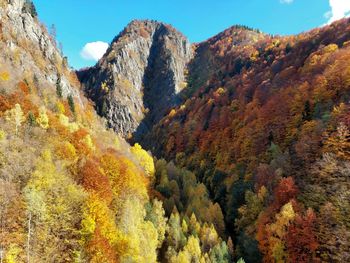 Scenic view of trees against sky during autumn