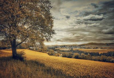 Scenic view of field against cloudy sky