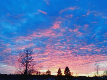 Low angle view of silhouette trees at sunset