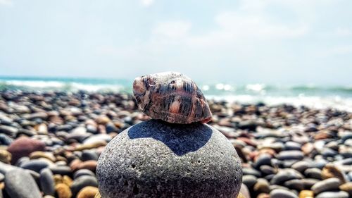 Close-up of stones on beach