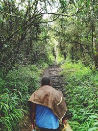 Rear view of man walking in forest