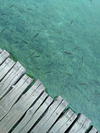 Wooden path above water at the plitvice lake