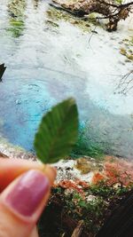 High angle view of woman holding leaf