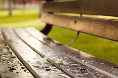 Close-up of empty bench on railroad track