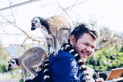 Side view portrait of cheerful man with lemurs at zoo