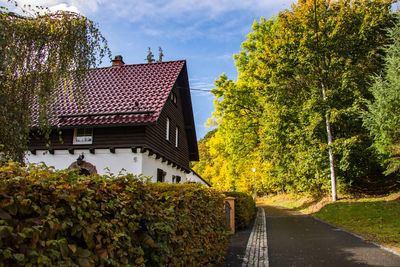 Road amidst trees and buildings against sky