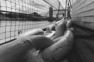 Close-up of ropes in container