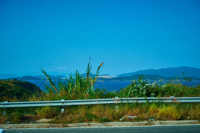 Scenic view of lake against blue sky