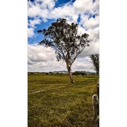 Scenic view of grassy field against cloudy sky