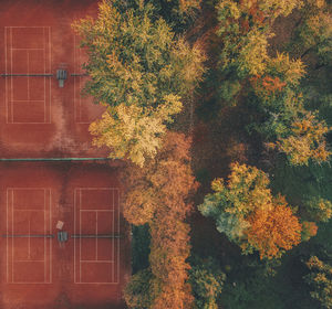 Tree by building during autumn