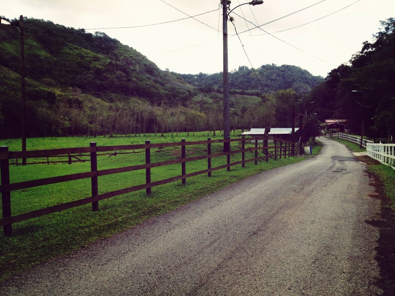 the way forward, road, electricity pylon, transportation, tree, mountain, sky, power line, diminishing perspective, landscape, tranquility, connection, tranquil scene, long, vanishing point, country road, fence, electricity, grass, nature