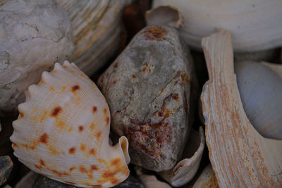 Full frame shot of bread