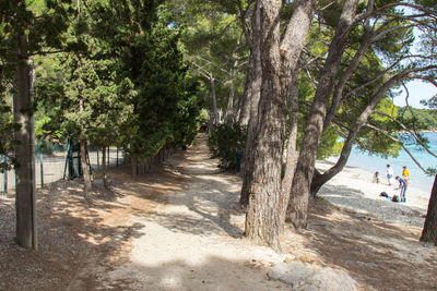 Men on road amidst trees against sky