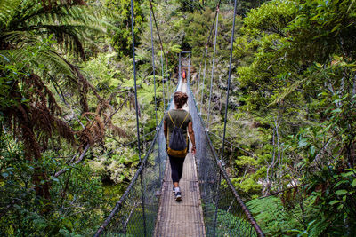 Rear view of woman walking on footbridge in forest