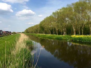 Scenic view of water against sky