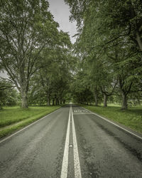 Empty road amidst trees