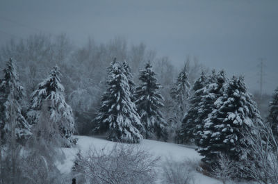 Snow covered land and trees against sky