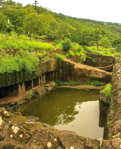 Scenic view of river by trees against sky