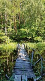 Scenic view of lake in forest