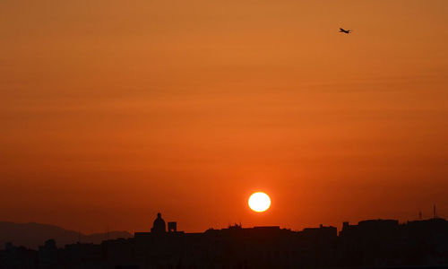 Silhouette of birds at sunset