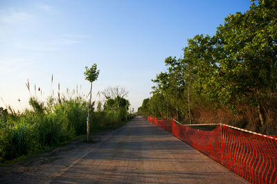 Walkway amidst trees against sky