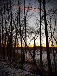 Silhouette bare trees on land against sky during sunset