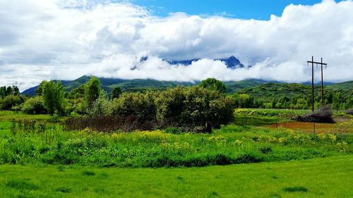 Scenic view of grassy field against cloudy sky