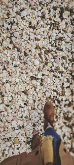 Rear view of man standing on leaves during autumn