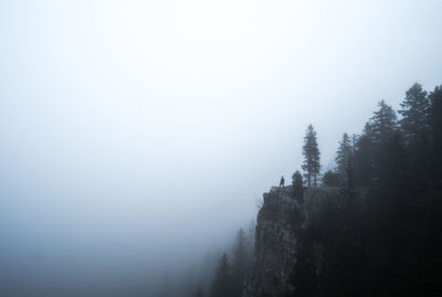 Trees on mountain against sky during foggy weather