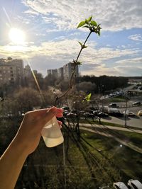 Man holding umbrella on plant against sky