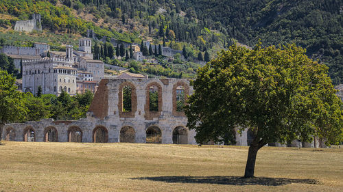 Roman theater in city of gubbio, perugia, italy