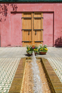 Flower plants against building