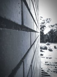 Close-up of snow covered against sky