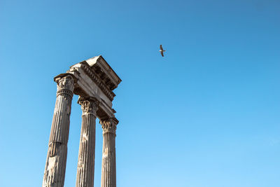 Low angle view of birds flying against clear blue sky