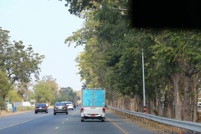 Cars on road by trees in city against sky