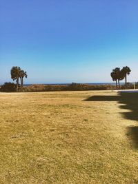 Scenic view of field against clear blue sky