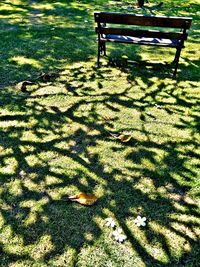 Shadow of empty park in lawn