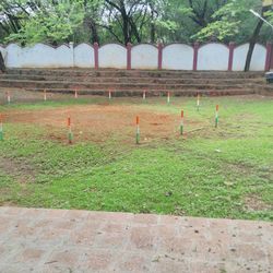 Trees on field against sky