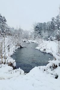Scenic view of snow covered trees against clear sky
