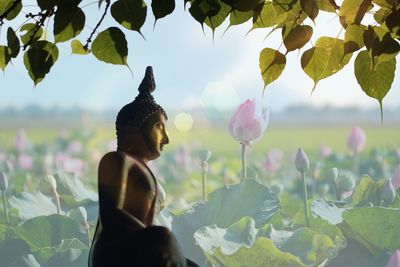 Close-up of woman against plants