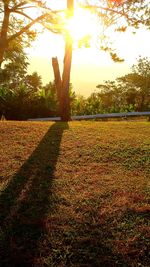 Scenic view of field against sky during sunset