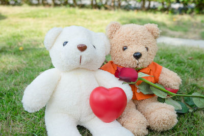 Teddy bear sitting on the garden with love and red roses symbolize valentine's day.