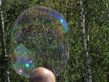 Low angle view of bubbles in park against trees