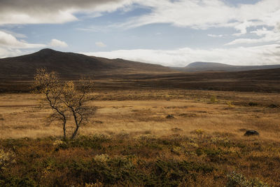 Scenic view of landscape against sky