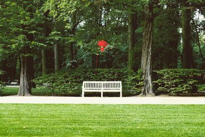 Park bench on field by trees