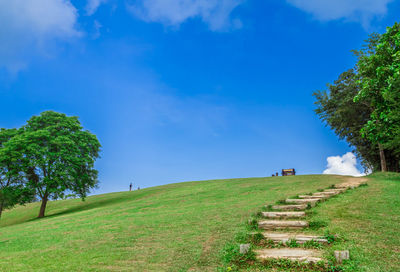 Scenic view of green landscape against blue sky