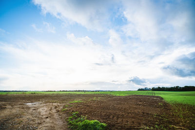 Scenic view of field against sky